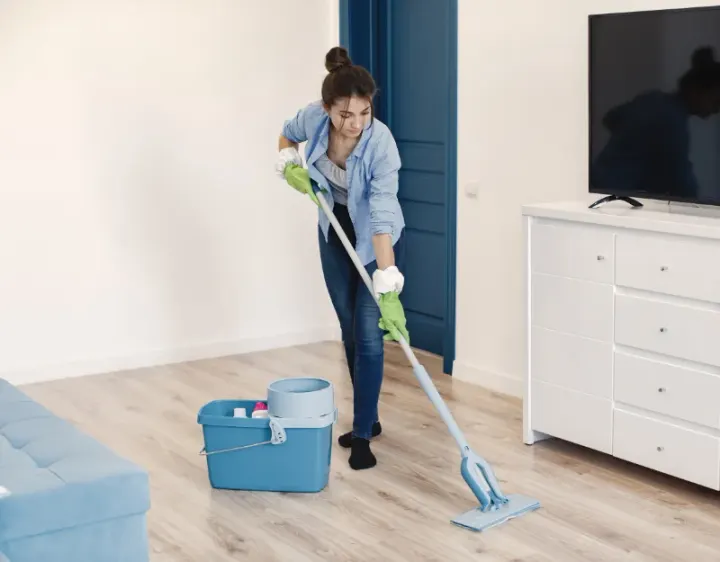 Femme de ménage La Gravelle
